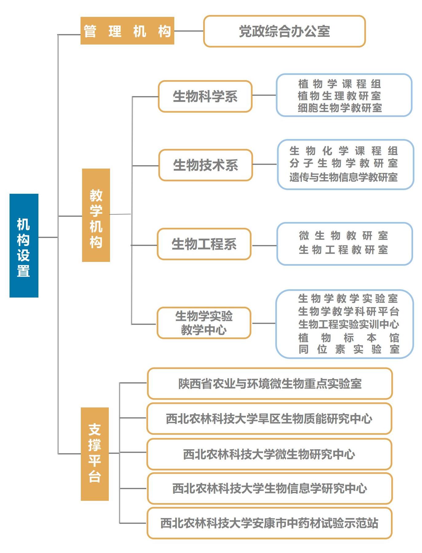 公司组织机构20231211_01.jpg