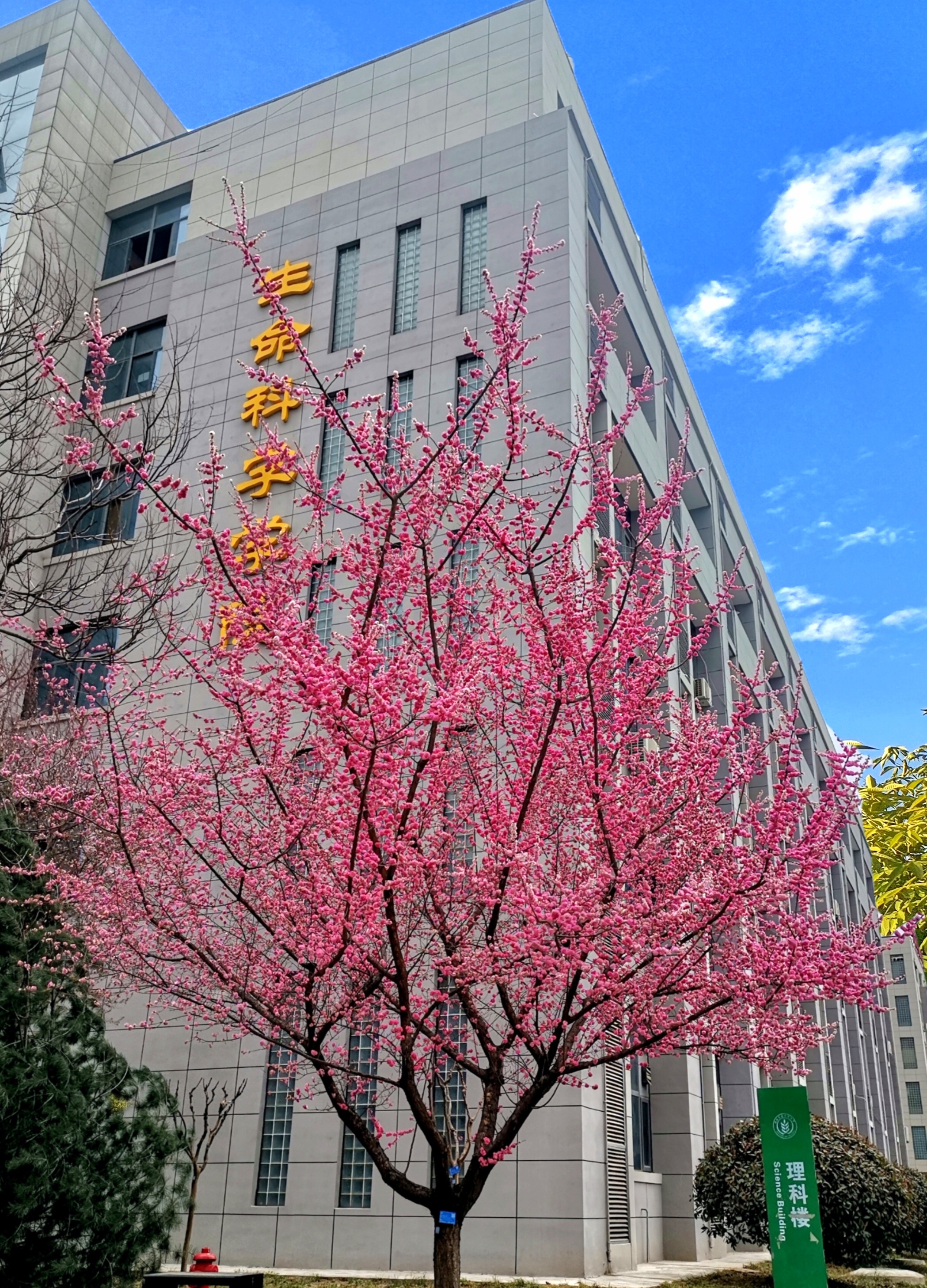 公司侧楼图.JPG