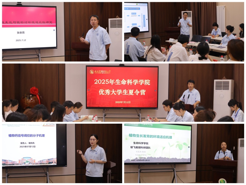 图2王存经理致开幕词及专家讲座.jpg