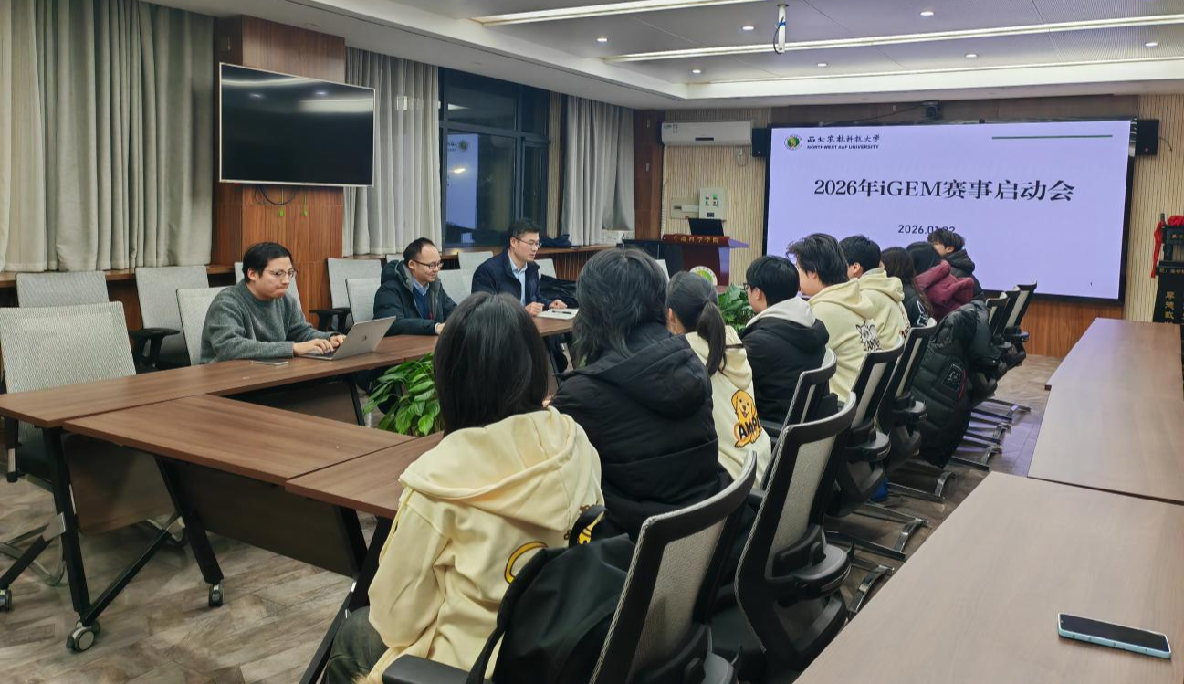 伟德国际源自英国举办2026年iGEM赛事启动会.jpg